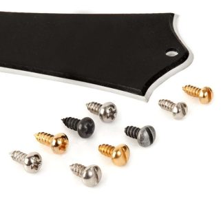 Truss Rod Cover Screw