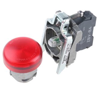 Spia XB4BVB4EX, LED, foro 22mm, Montaggio a pannello, IP65