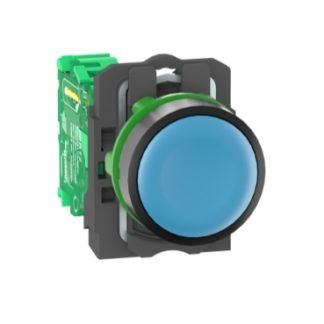 Interruttore di comando radio Schneider Electric