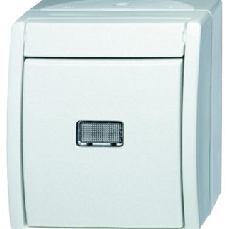 Interruttore luce Busch Jaeger - ABB, 10A, 250V