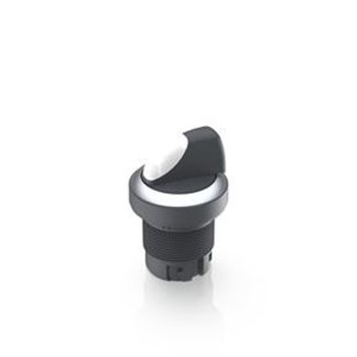 Selettore RAFI 1.30.242.802/0200 a 2 posizioni , diam. foro 22.3mm