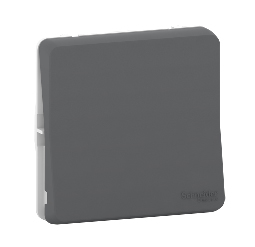 Interruttore luce Schneider Electric, Grigio