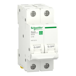 Interruttore magnetotermico Schneider Electric, 2P 16A, Tipo C