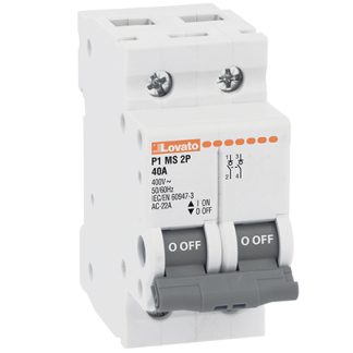Sezionatore con interruttore Lovato P1MS2P100 serie P1MS, 2P, 100A, 440V ca, per guida DIN P1MS2P100