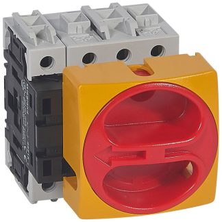 Sezionatore con interruttore Legrand 0 221 15, 4P, 63A, Montaggio a pannello, Montaggio a vite, IP65