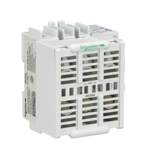 Sezionatore con interruttore Schneider Electric, corrente max 30A Integrato, 3