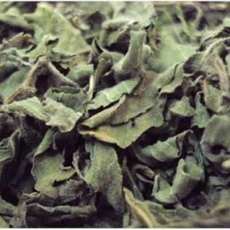 Dried Indian basil, tulsi