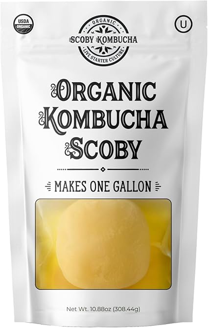 1 X Organic Kombucha Scoby - Live Culture by Scoby Kombucha