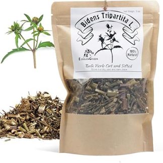 EidolonGreen [China Medicinal Herb] Three-Lobe Beggarticks Herb - Bidens Tripartita L # Herba Organica # Beggarticks, Trifid Bur-marigold 3 Oz (88g)