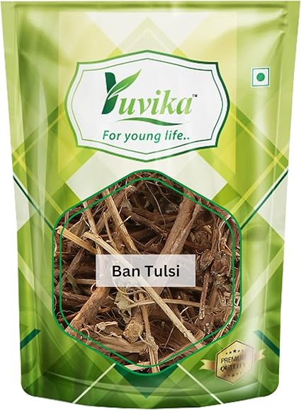 YUVIKA Ban Tulsi - Croton bonplandianus (100 Grams)