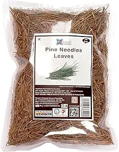 PARAMAN THE SUPERNATURAL Pine Needles Leaves Dried - 100 Gms